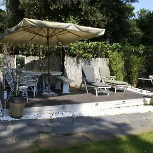 Domusauroom, Relax Nel Cuore Della Versilia - Pet Friendly Viareggio